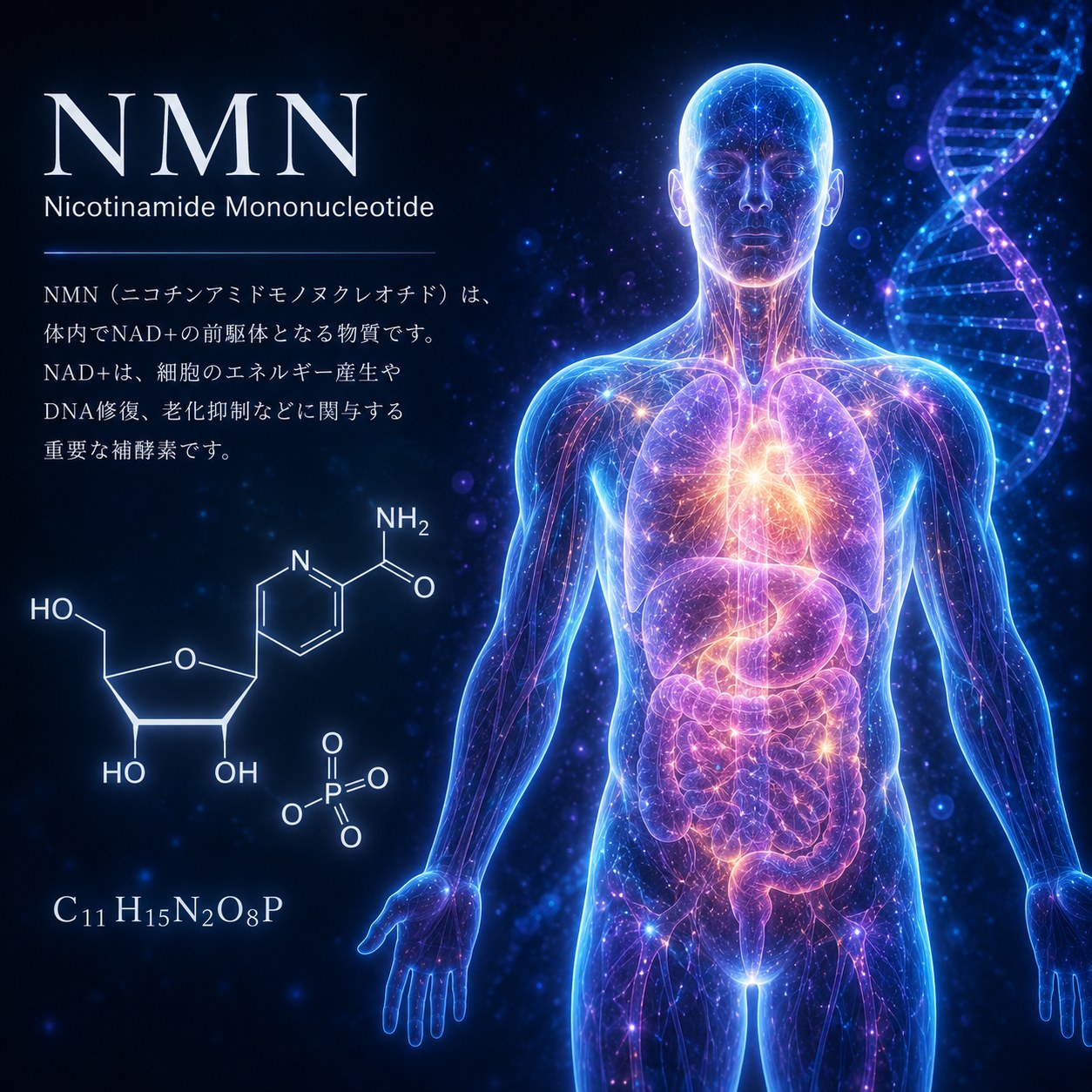 NMN 原材料