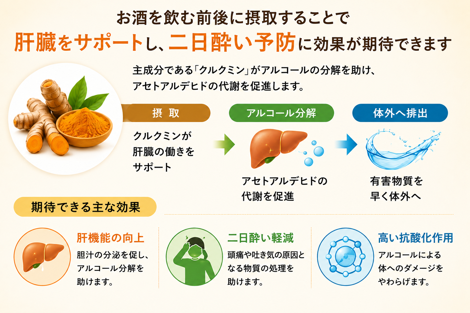 肝臓をサポートし二日酔い予防